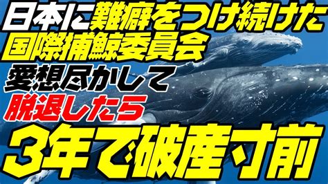 国際捕鯨委員会「破産の恐れ」3年前に日本脱退、本部建物の.